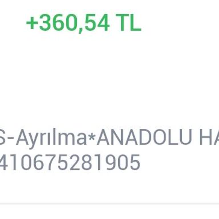 BES İptalinde Karşılaşılan Sorunlar Ve Kayıplar