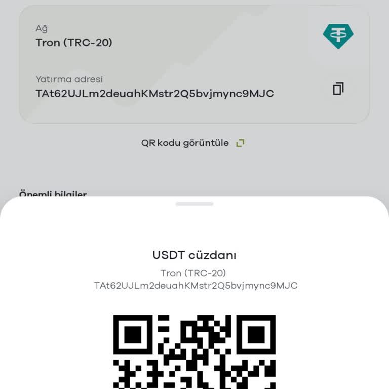 Tether Hesabıma Yatırılan Paranın Giriş Sorunu