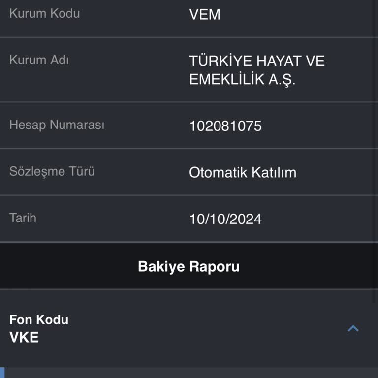 BES İptali Ve Para İadesi Talebi