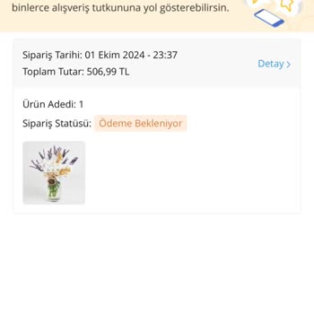 Çiçek Sepeti Bestellungsprobleme, keine Rückerstattung trotz Zahlung und Rabattprobleme