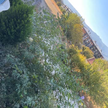 Edremit'te Yol Sorunu: Kapalı Yol Ve Güvenlik Tehlikesi