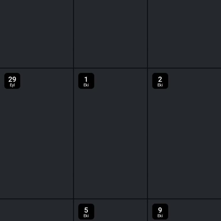 Instagram Uygulamasında Arşiv Ve Hikaye Görüntüleme Sorunu