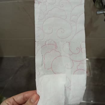 Selpak WC Kağıdı: Yırtıklarla Dolup Taşan Hayal Kırıklığı