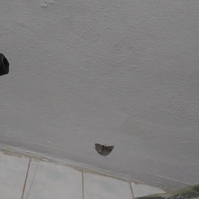 Deprem Tespiti İçin Beklenen Süre Ve Endişeler