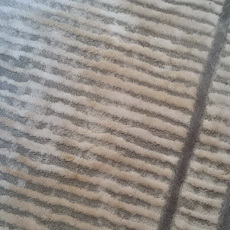 Leke Tutmayan Halı Mağduriyeti