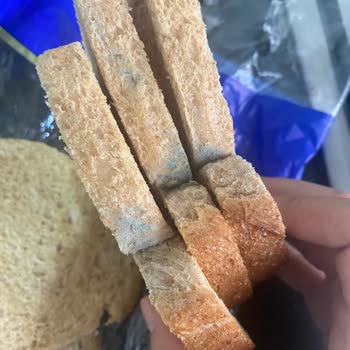 BİM'den Aldığımız Küflü Ekmekler Sağlığımızı Tehdit Ediyor!