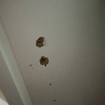 Vivense'den Sipariş Ettiğimiz Gardırop Sorunları