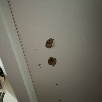 Vivense'den Sipariş Ettiğimiz Gardırop Sorunları