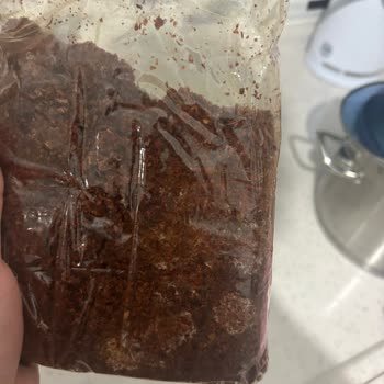 Zengibar Baharat Küflü Ürün