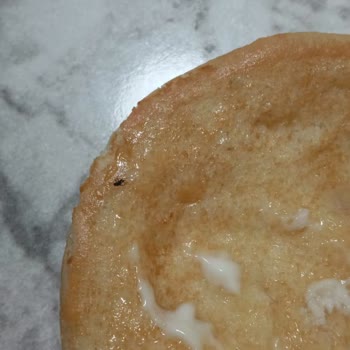 Popeyes'te Böcekli Hamburger Şoku