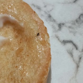 Popeyes'te Böcekli Hamburger Şoku