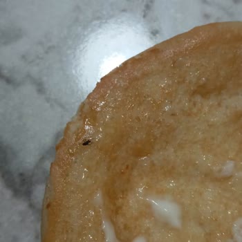 Popeyes'te Böcekli Hamburger Şoku