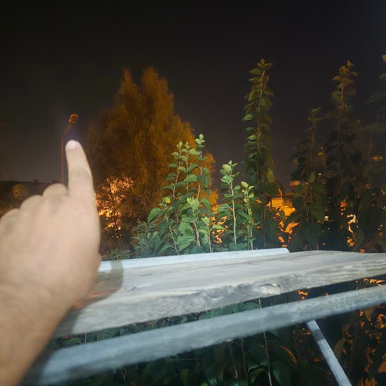 Sokak Lambası Sorunu Çözülmüyor