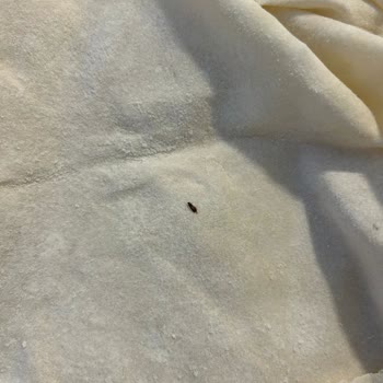 Migros Sanal Market'ten Bozuk Ürün Ve İlgisizlik