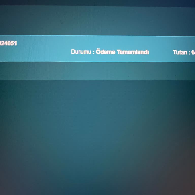 Aktivasyon Kodu Teslimatında Yaşanan Gecikme Ve İletişim Sorunları