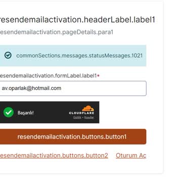 VFS Global Hesap Aktifleştirme Sorunu Ve Müşteri Hizmetleri Çıkmazı