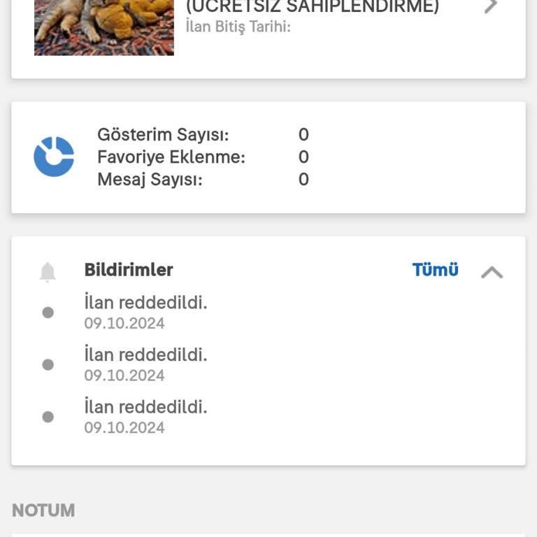 Kedi Sahiplendirme Sürecinde Yaşanan Zorluklar Ve Acil Destek İhtiyacı