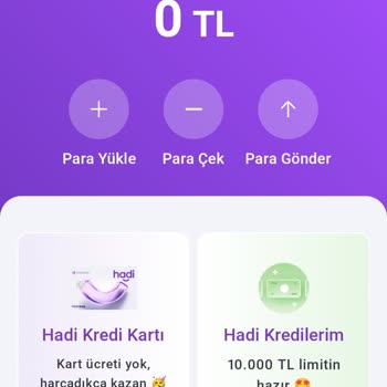 Kredi Kartı Borcu Yüzünden Hesaptaki Para Kayboluyor