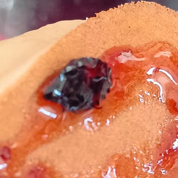 BİM'den Aldığım Reçelde Böcek Şoku