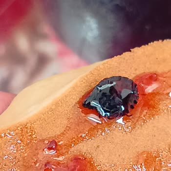 BİM'den Aldığım Reçelde Böcek Şoku