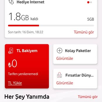 Yüklenen TL Bakiyemde Görünmüyor