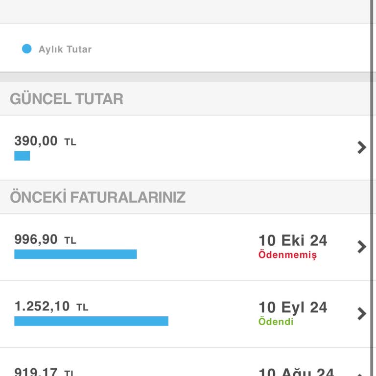 Turkcell'in Festival 60GB Kampanyasında Hızla Tükenen İnternet Sorunu