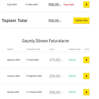 Engelli İndirimi Hakkımın Sürekli İhlali