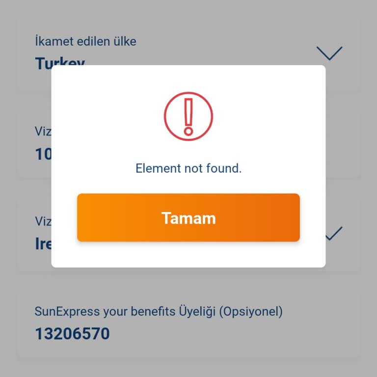 Check-in Sorunu Ve Ekstra Ücretler