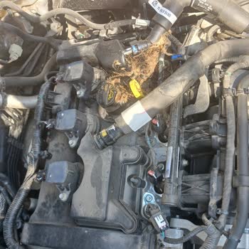 Ford Focus'ta Motor Koruma Kapağı Eksikliği