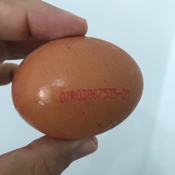 Organik Yumurta Kodlarında Tutarsızlık