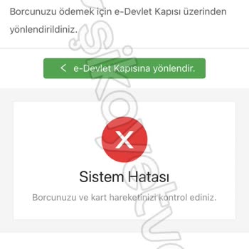 E-Devlet | Turkiye.gov.tr Elektrik Yardımı Ve Sosyal Yardımda Karşılaşılan Sorunlar