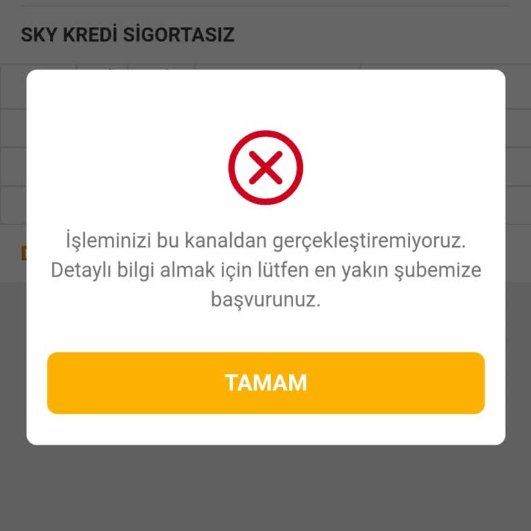 Skylimit Kullanım Sorunu Ve Acil İhtiyaçlar