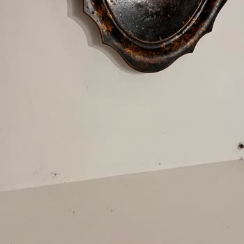 Kappatur İle Hayal Kırıklığı: Eksik Planlama Ve Ekstra Ücretler