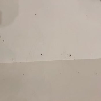 Kappatur İle Hayal Kırıklığı: Eksik Planlama Ve Ekstra Ücretler