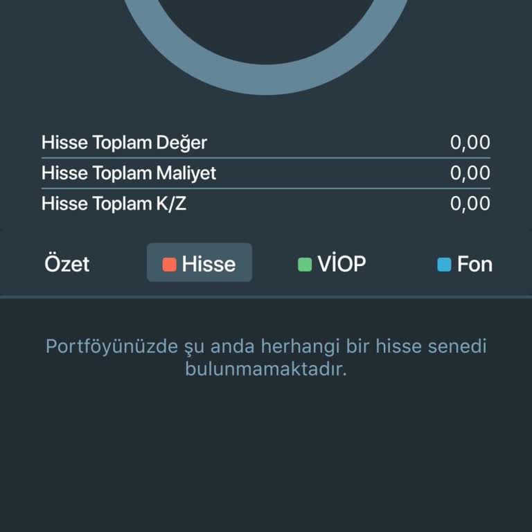 Portföydeki Hisselerin Görünmemesi Ve Sistem Hataları