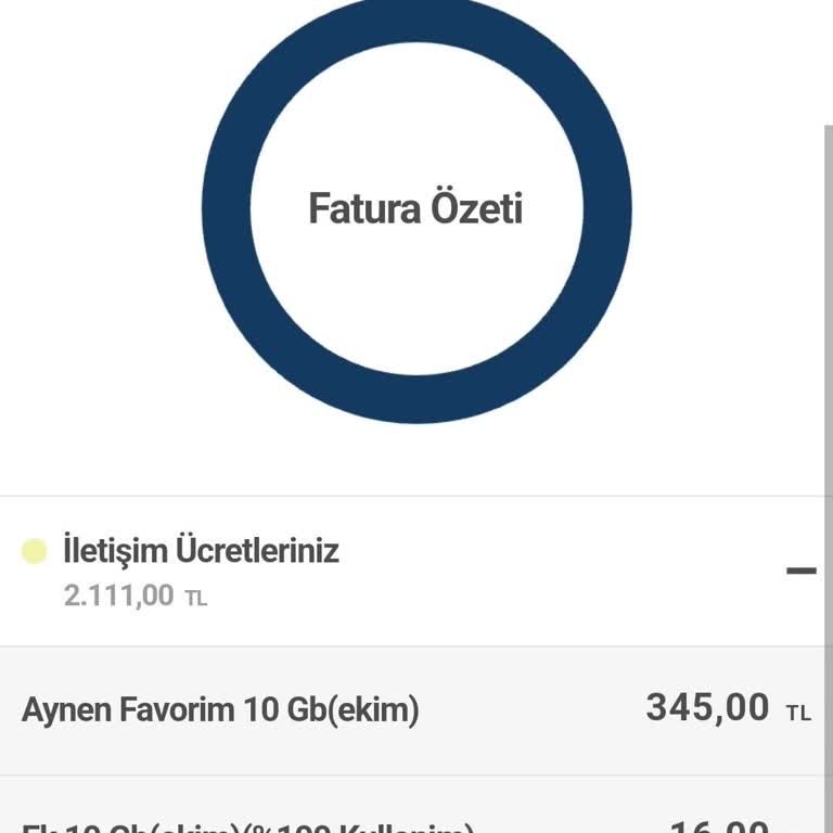 Beklenmedik Tyg Ekstra Ücreti: Onaysız İşlem Mağduriyeti