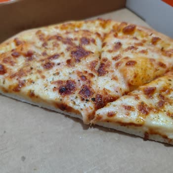 Little Caesars Pizza Had No Toppings – Just Dough and Cheese!