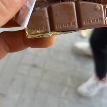 Ülker Çikolatada Şok Eden Kurt Yuvası