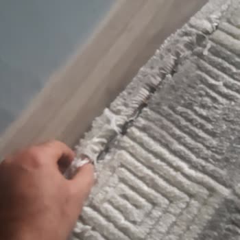 Halı Temizleme Hizmetinde Hayal Kırıklığı: Yırtık Halı Ve Yetersiz Çözüm