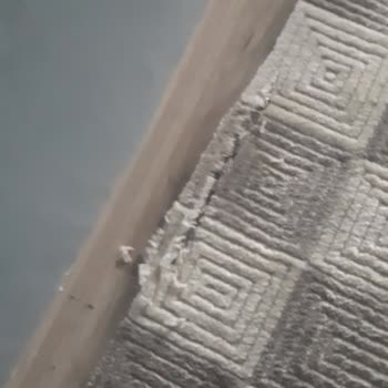 Halı Temizleme Hizmetinde Hayal Kırıklığı: Yırtık Halı Ve Yetersiz Çözüm