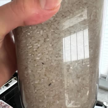 Migros Sanal Market Siparişimde Böcekli Pirinç Şoku