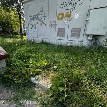 Bakırköy'deki Tehlikeli Elektrik Kablosu: 3 Yıllık İhmal