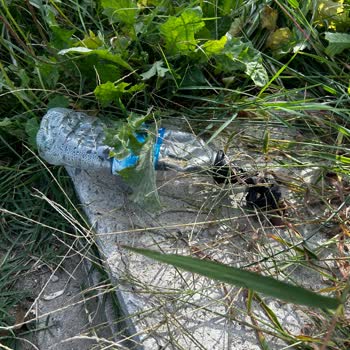 Bakırköy'deki Tehlikeli Elektrik Kablosu: 3 Yıllık İhmal