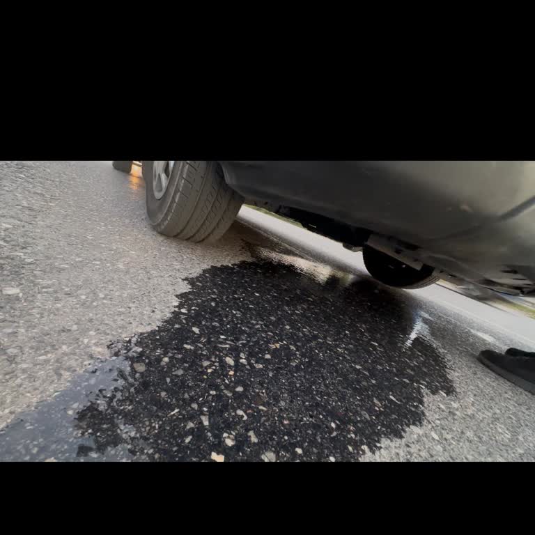 Aracımızın Bitmeyen Sorunları Ve Çözüm Beklentimiz