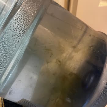 Billur Su'dan Gelen Yosunlu Damacana Ve Kötü Müşteri Hizmeti