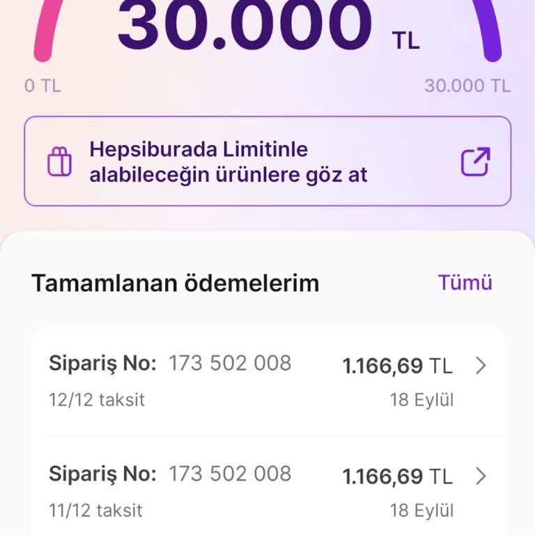 Kullanılamayan Limit Ve Güven Sorunu