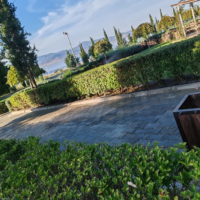 Halk Plajında Yanlış Zamanlı Çim Sulama Sorunu