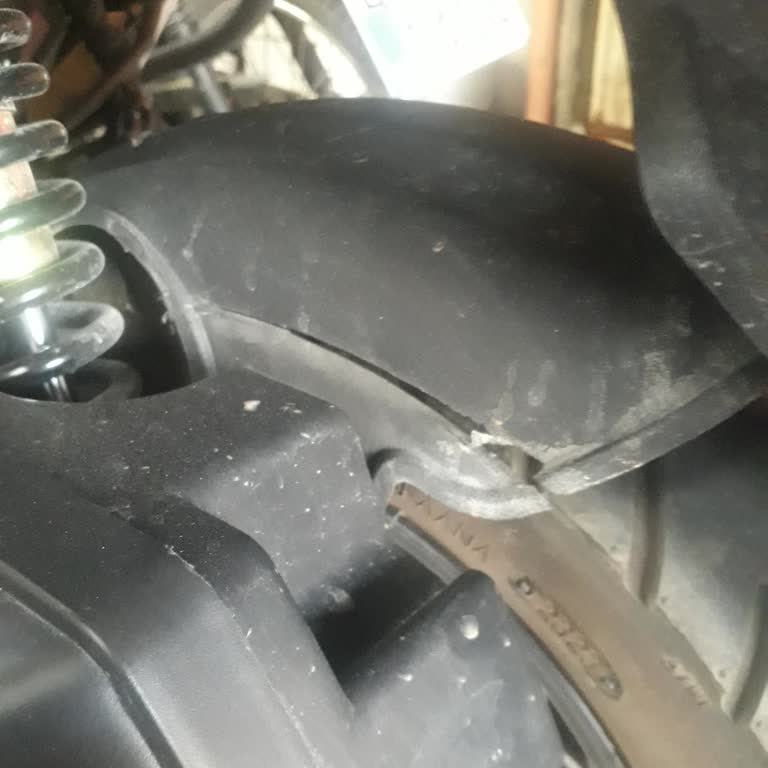 Kuba Pesaro 50 Şikayeti