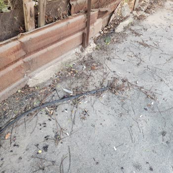 İnternet Kesintisi Ve İlgisizlik