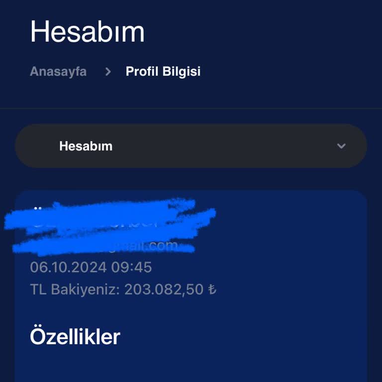 Ödeme Sorunları Ve Şikayetler